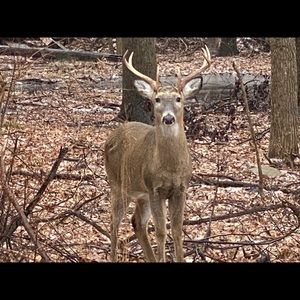 Meet your Posher, Gary